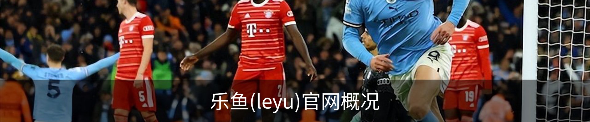 乐鱼(leyu)官网概况