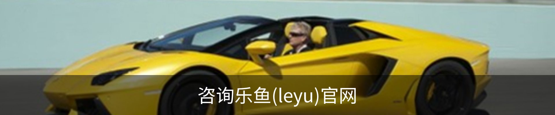 咨询乐鱼(leyu)官网