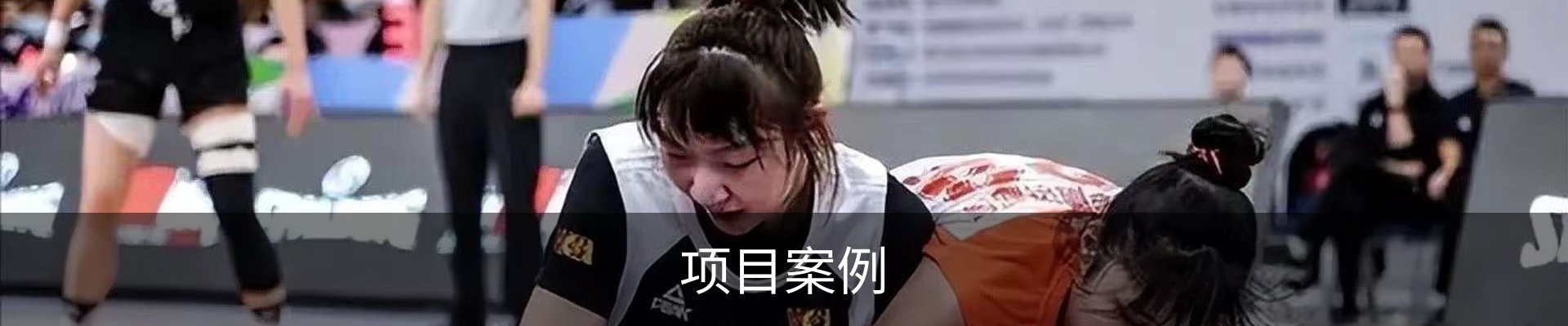 项目案例